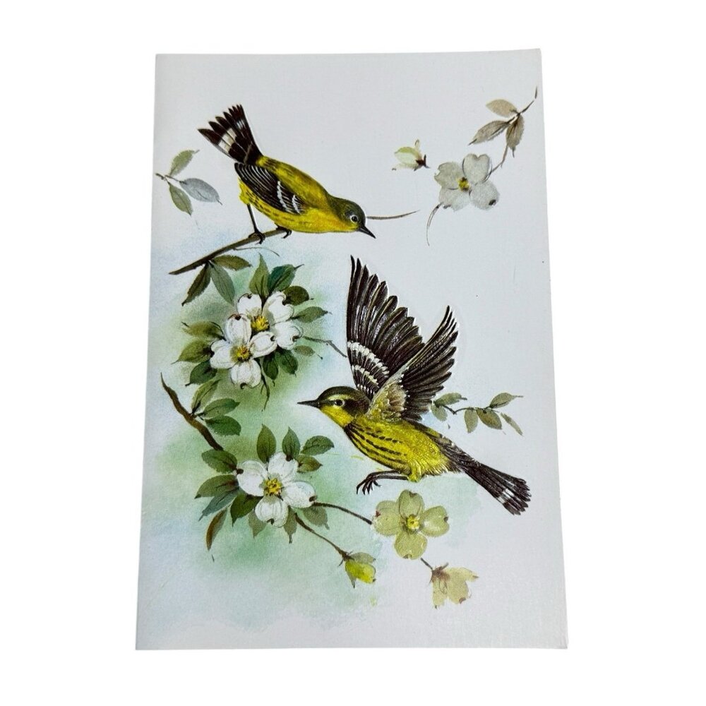 Birds Magnolia Warbler Greeting Card A Sunshine Card USA Envelope‎
